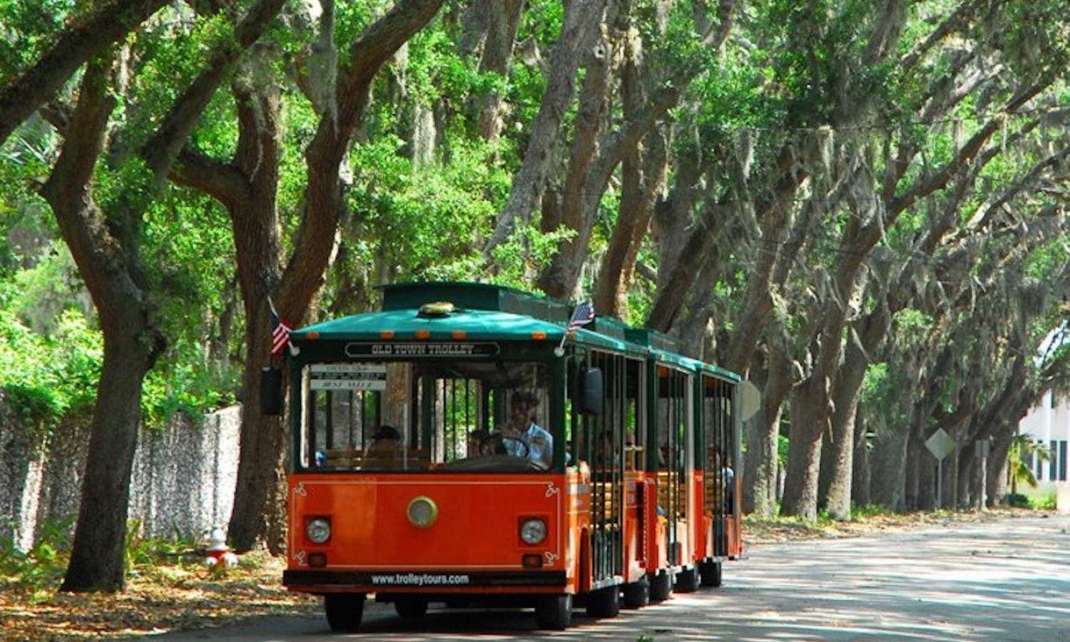 st augustine - tour - orlando - trolley - trees.jpg
