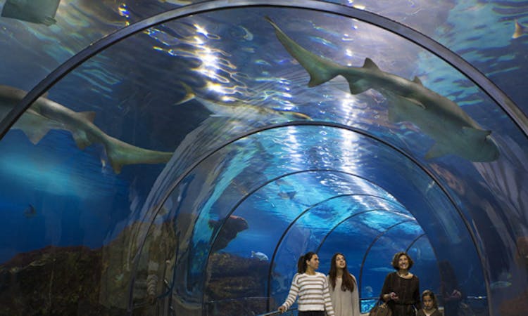 Barcelona Aquarium: skip the line tickets-2
