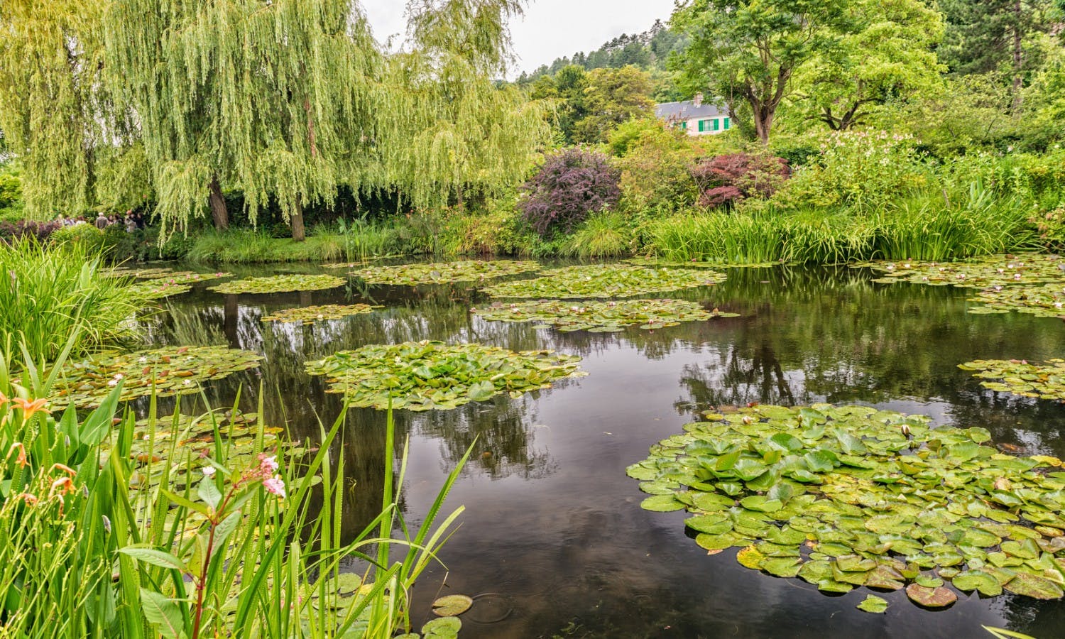 Monet's garden in Giverny Half Day Trip from Paris-4