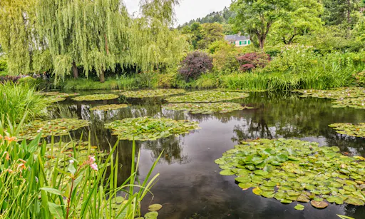 Monet's garden in Giverny Half Day Trip from Paris-4