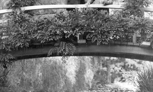 Monet's garden in Giverny Half Day Trip from Paris-5