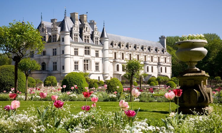 Loire Valley Castles Day Trip : Chambord, Chenonceau & Amboise-4