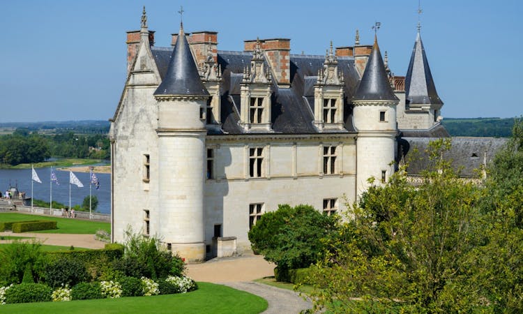 Loire Valley Castles Day Trip : Chambord, Chenonceau & Amboise-5