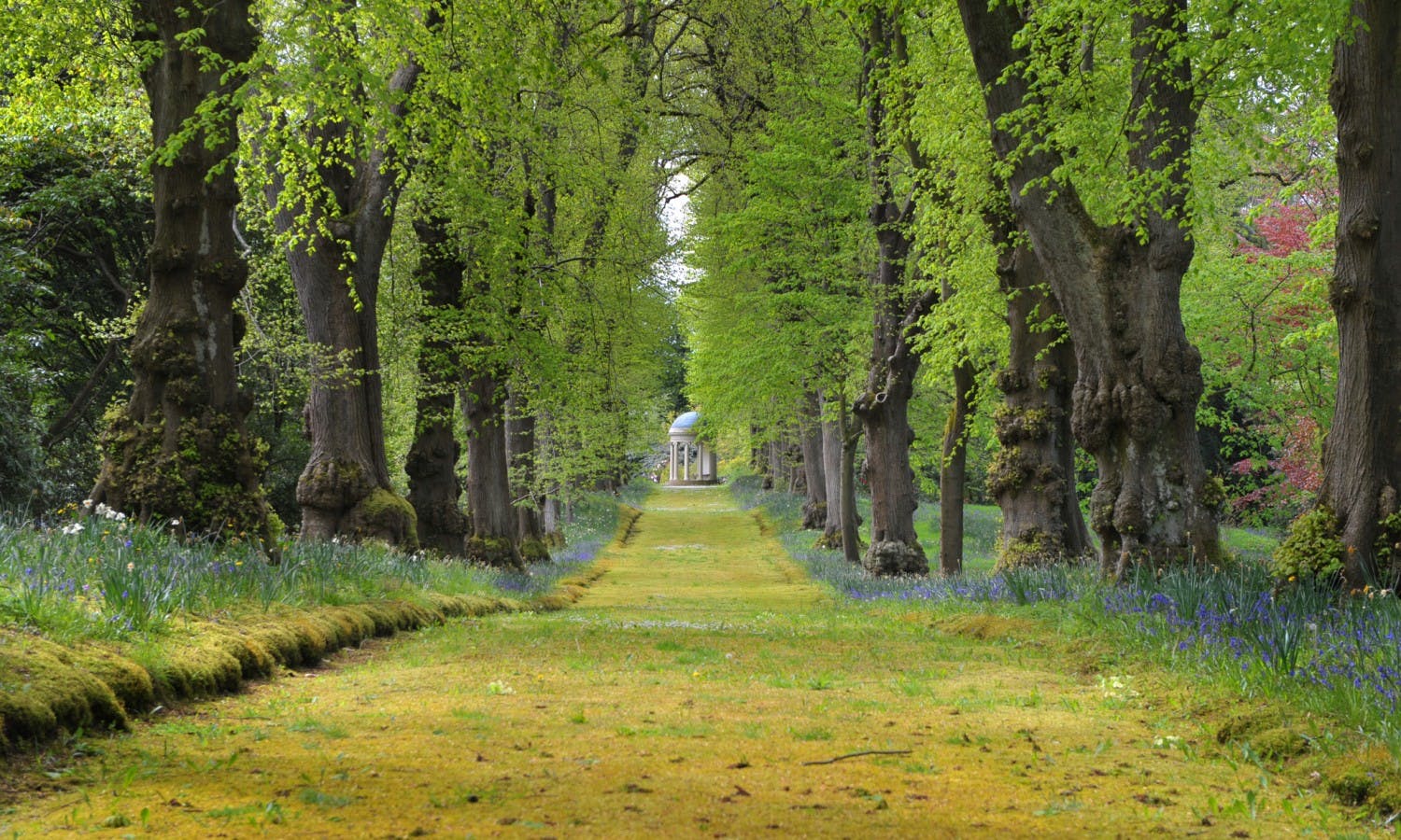 hillsborough castle - tickets - gardens - lime tree walk.jpg