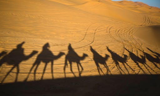 Ouarzazate and Desert Erfoud.jpg