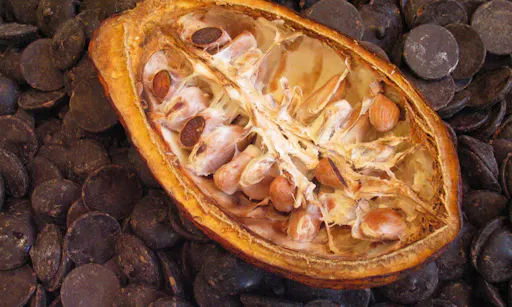 demi-cabosse cacao & pastilles chocolat noir.jpg