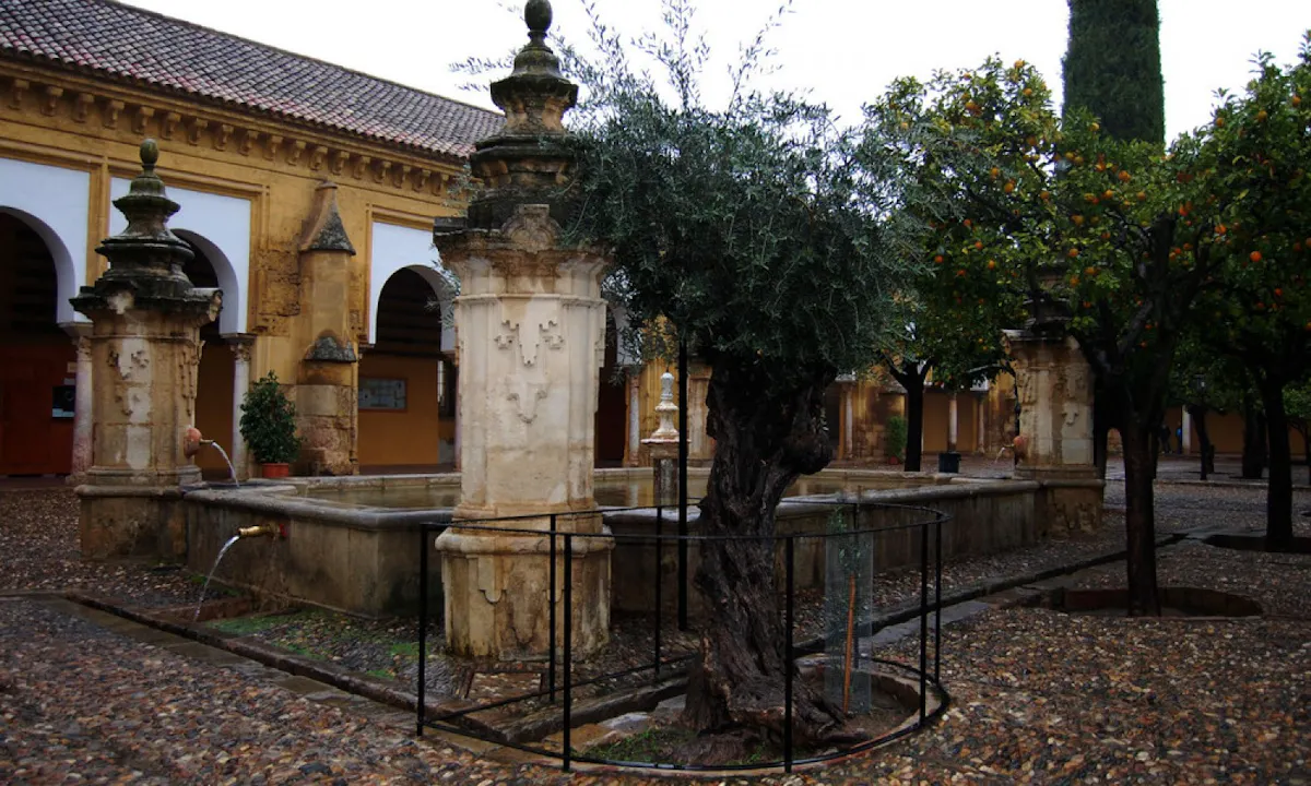 History of the Great Mosque of Cordoba: guided tour-0