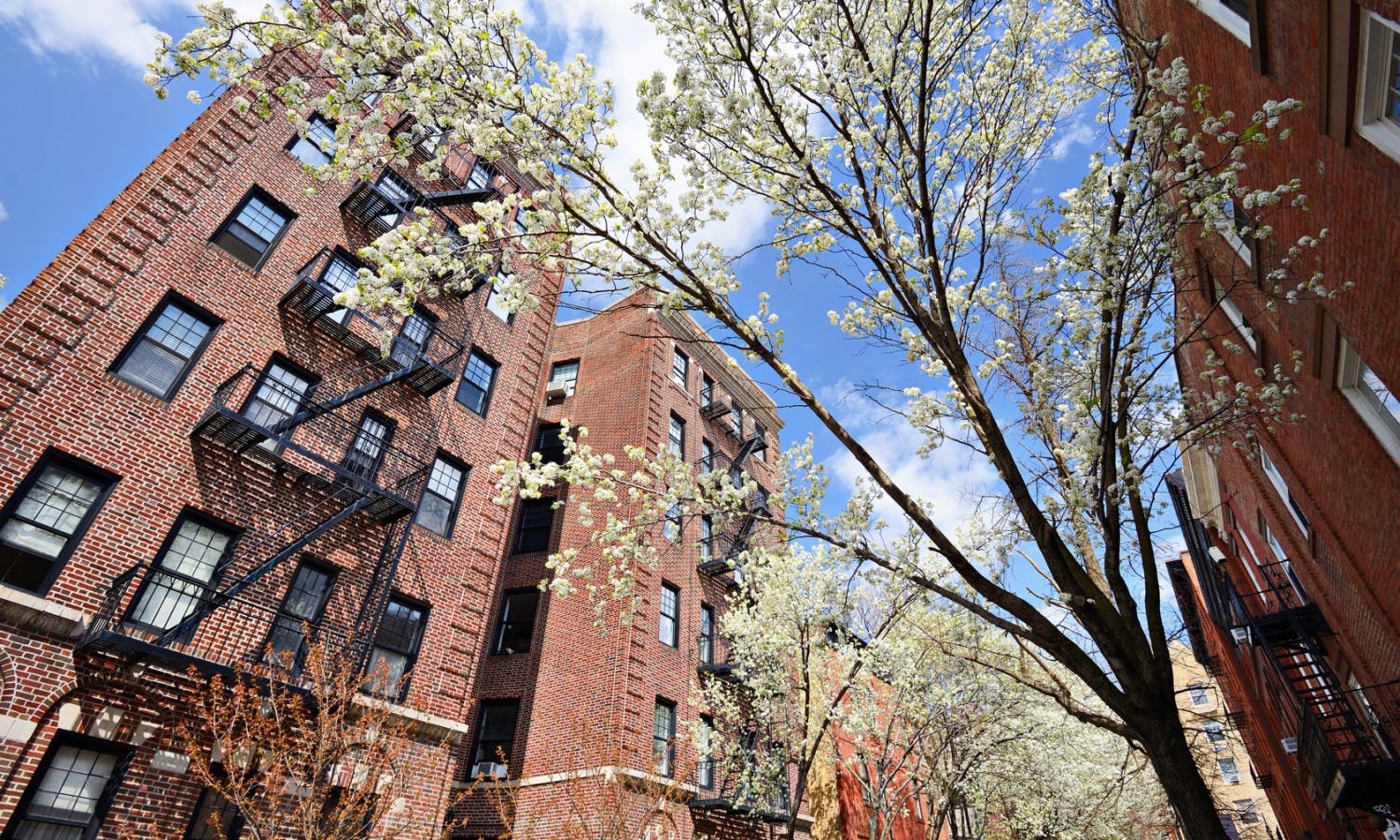 New York Apartments in the Spring.jpg