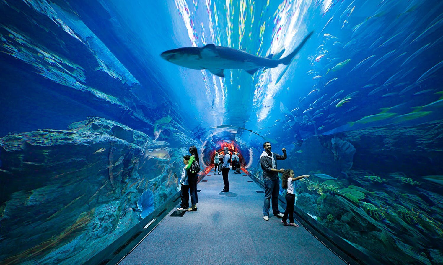 burj khalifa - tickets - dubai aquarium - tunnel - shark