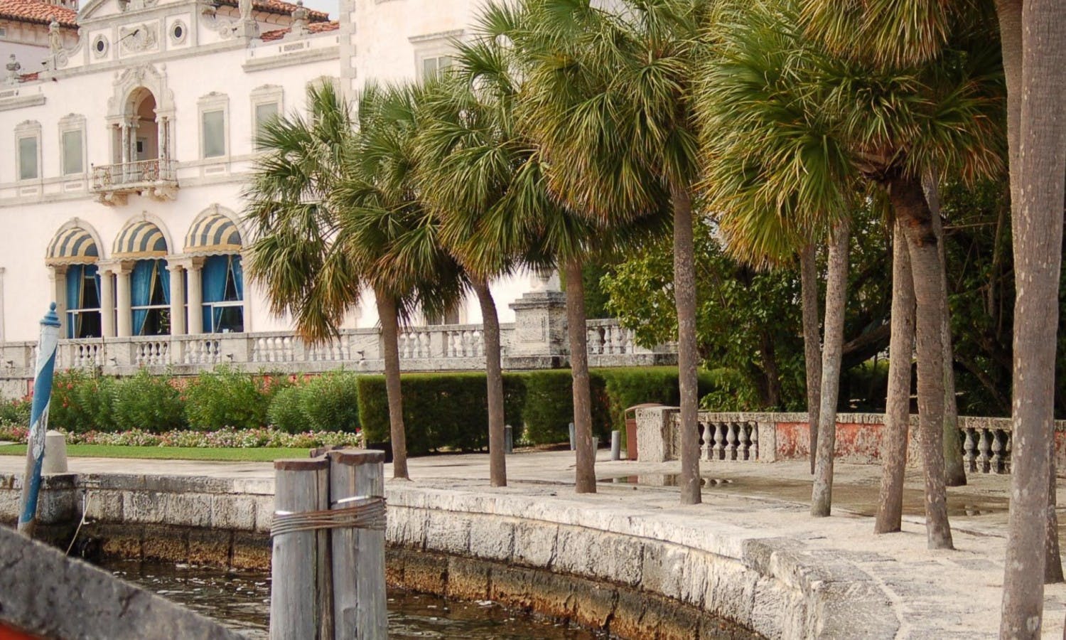 vizcaya museum - miami - gardens - palm trees.jpg