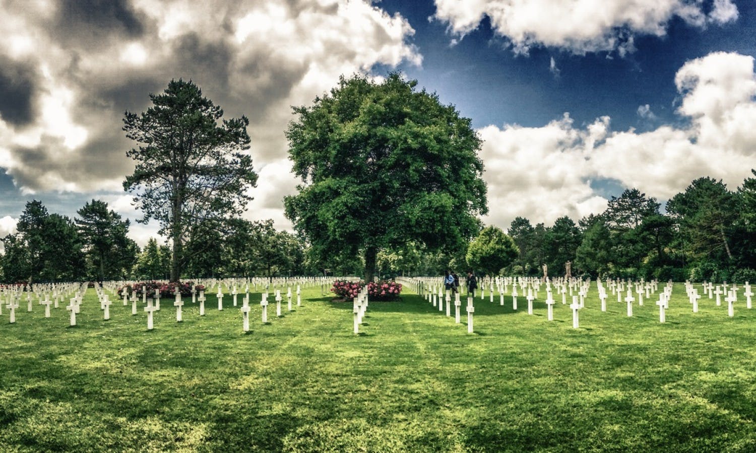Crosses on the american Cemetery at Colleville-Sur-Mer.jpg