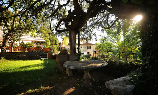 Dinner in the Chianti vineyards-2