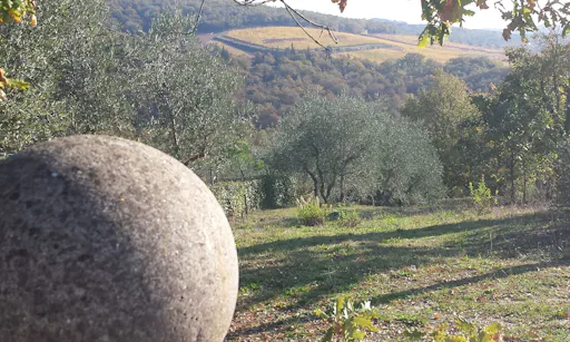 Dinner in the Chianti vineyards-4