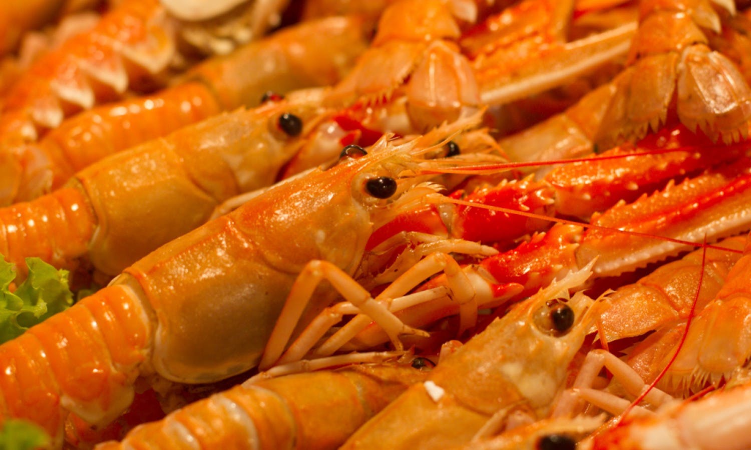 Venice food tour: Rialto market and cicchetti tasting with wine-10