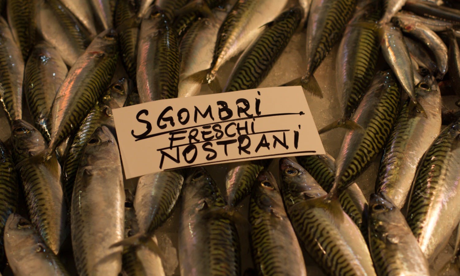 Venice food tour: Rialto market and cicchetti tasting with wine-11