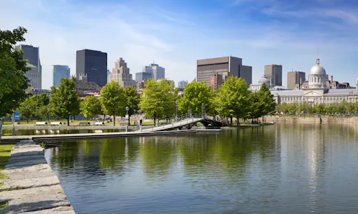 Downtown Montreal in summer.jpg