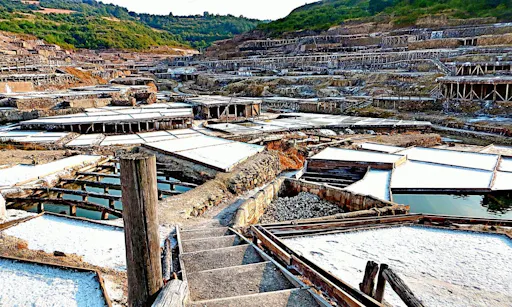 Guided tour of Vitoria and Salinas de Añana from Bilbao: from the mountains to the sea-1