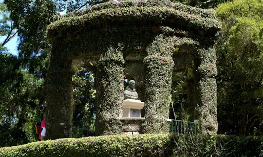 Botanical Garden (Jardim Botanico).jpg