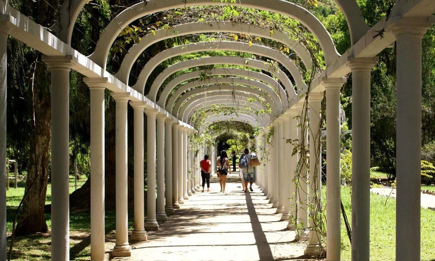 Botanical Garden (Jardim Botanico).jpg