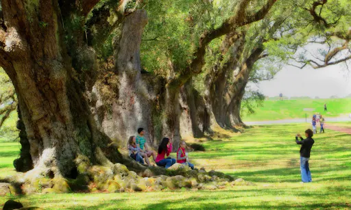 Louisiana plantation tour-2