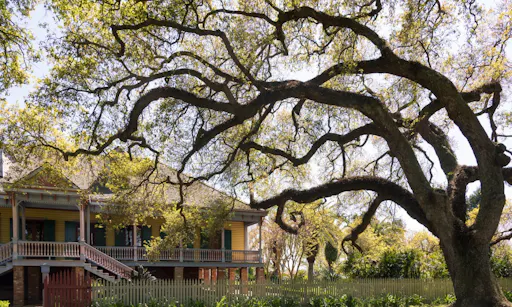 Laura Plantation, New Orleans.jpg