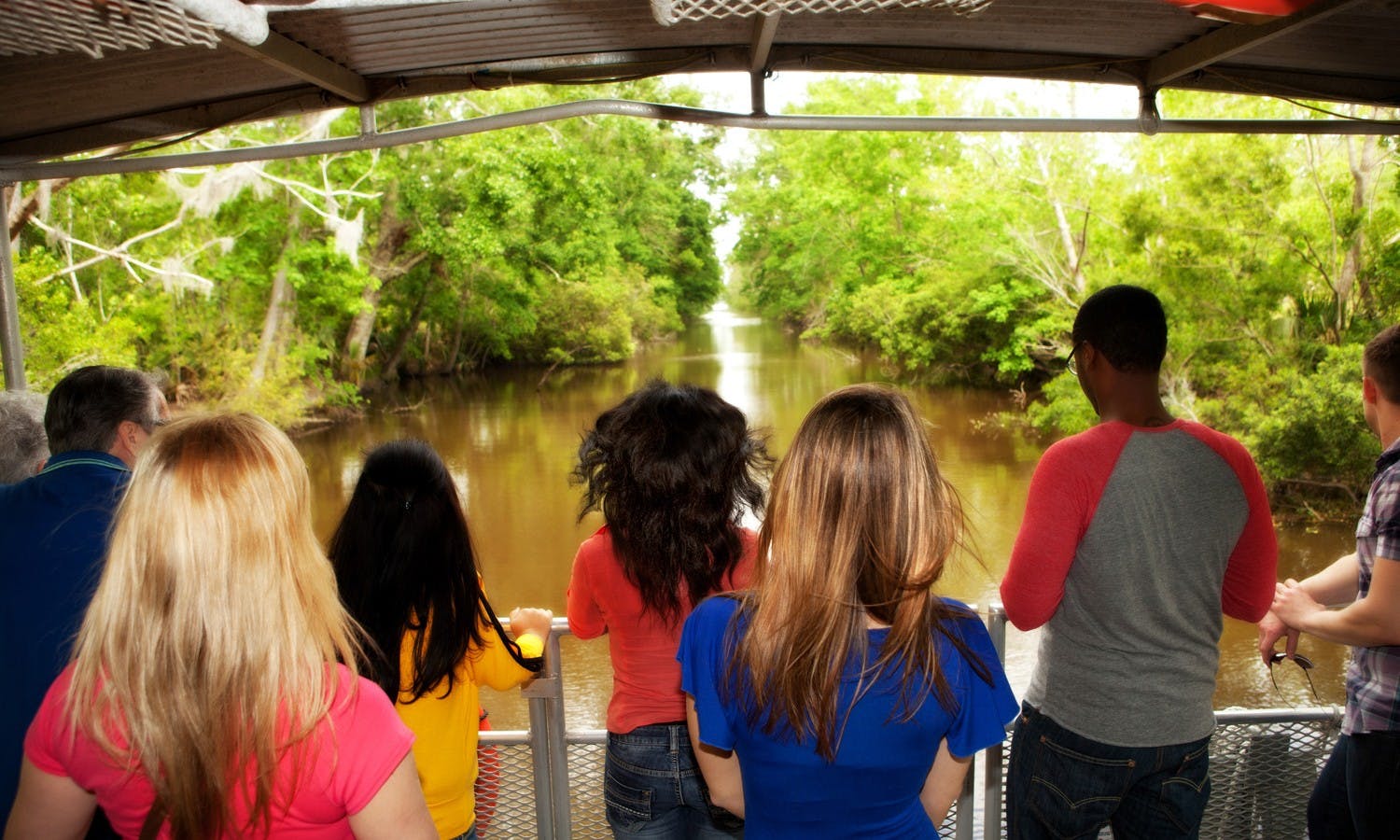 Guided swamp and bayou boat tour-4