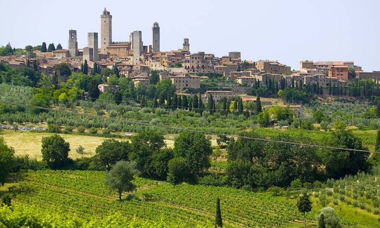 San Gimignano, Chianti and Montalcino tour from Siena with wine tasting and light lunch-3