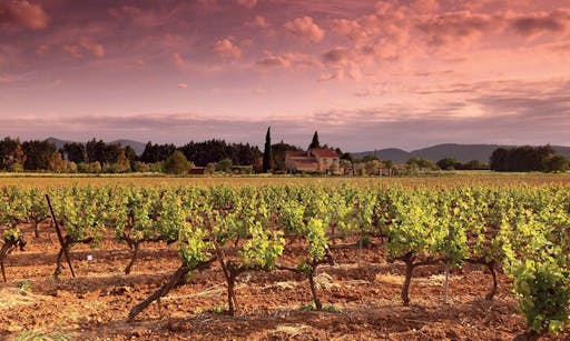 San Gimignano, Chianti and Montalcino tour from Siena with wine tasting and light lunch-4