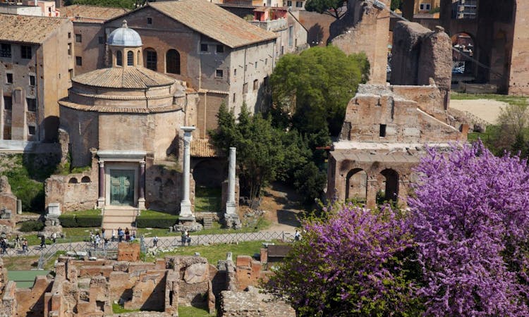 Colosseum, Roman Forum and Palatine tour with Vatican Museums upgrade