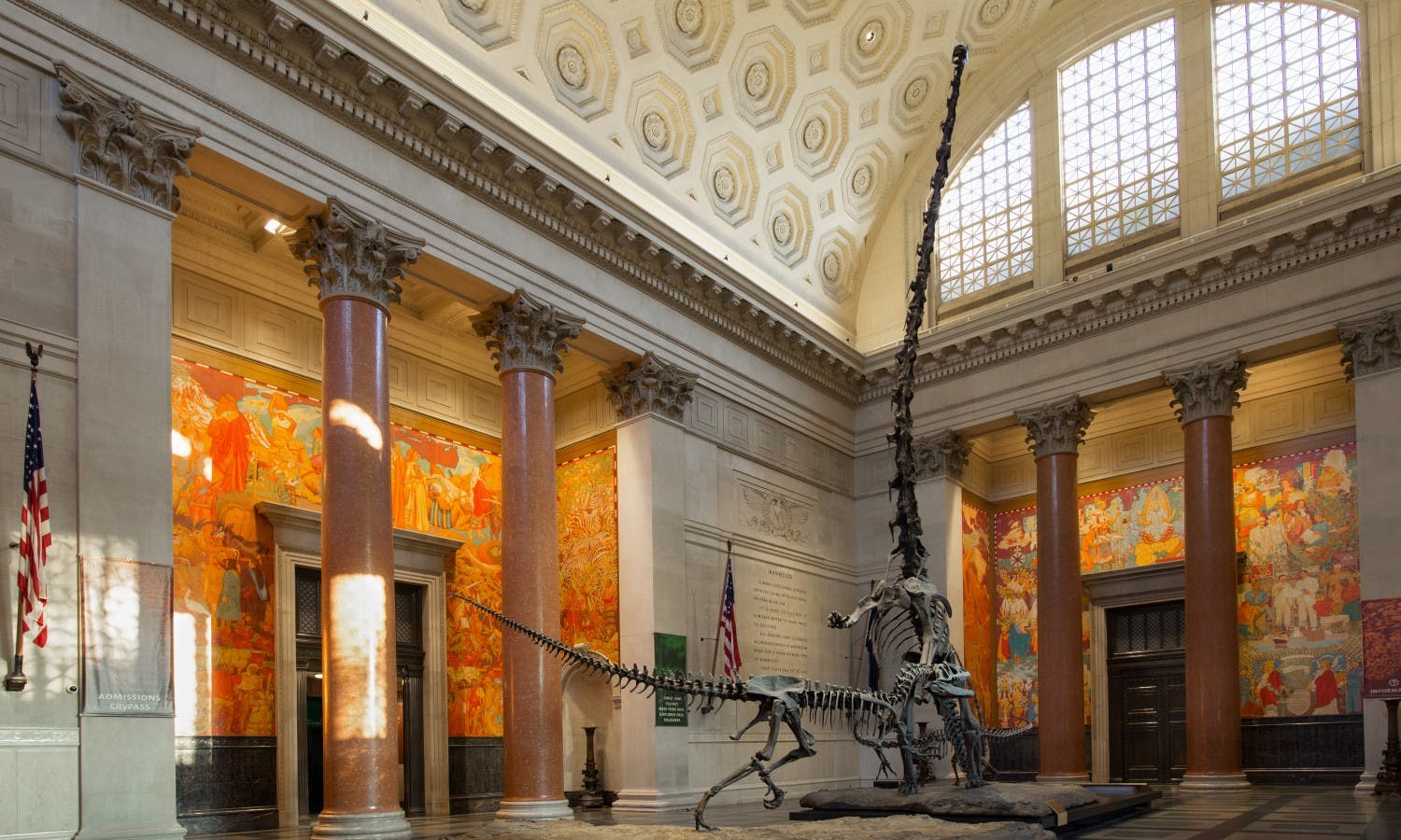 natural history museum - new york - dinosaur fossils