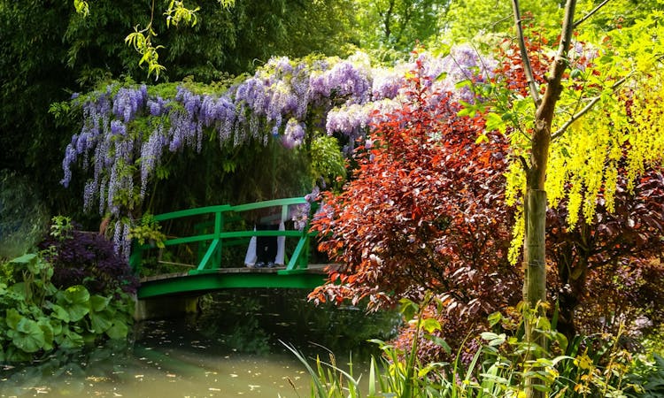 Half-day guided tour of Monet's house in Giverny from Paris