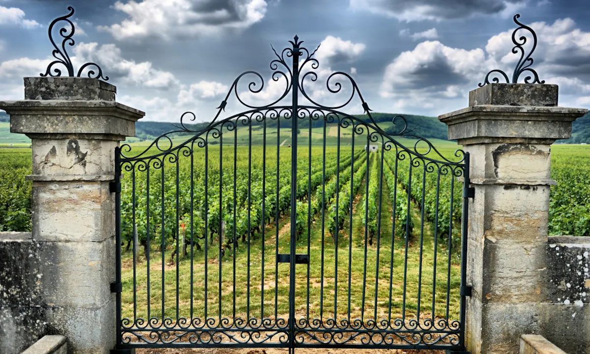 PRIVATE SAINT EMILION FULL DAY WINE TOUR-1