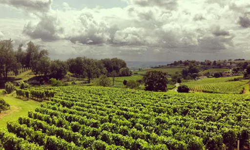 PRIVATE SAINT EMILION FULL DAY WINE TOUR-2