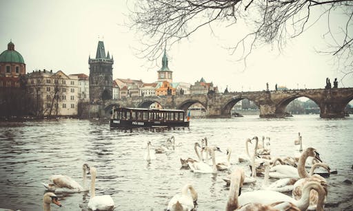 Prague full day sightseeing tour with river cruise and lunch3.jpg
