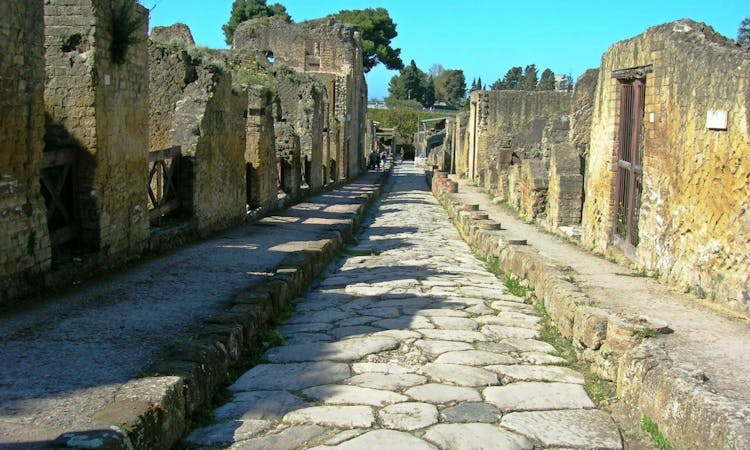 Herculaneum 2-hour private tour