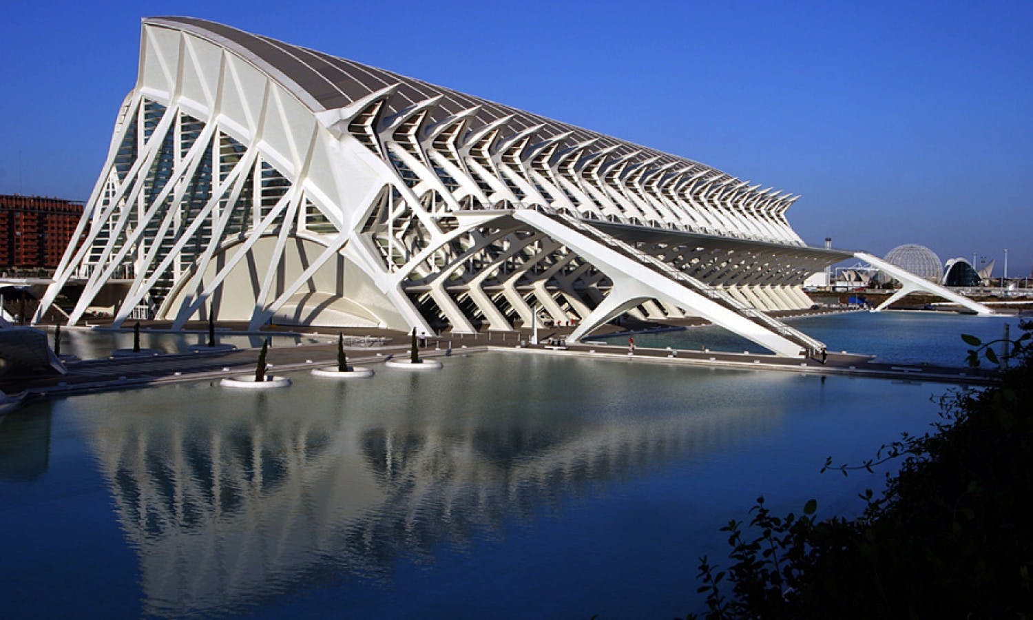 Principe Felipe Science Museum Of Valencia Tickets Musement