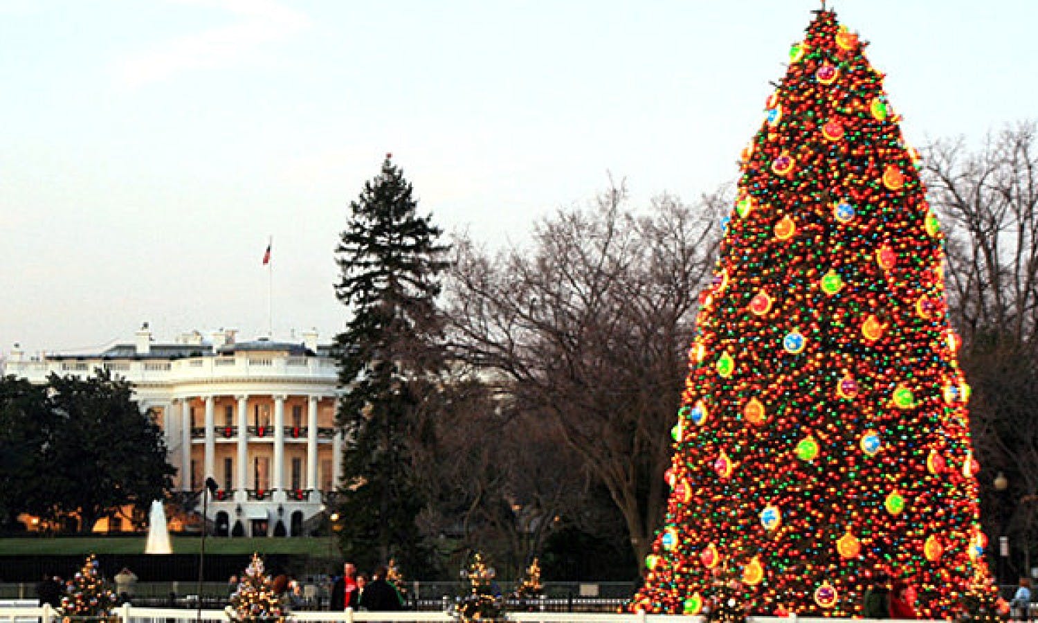 The-National-Christmas-Tree-in-Washington-DC.jpg