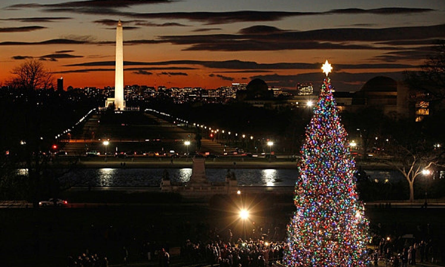 The-U.S.-Capitol-Christmas-Tree.jpg