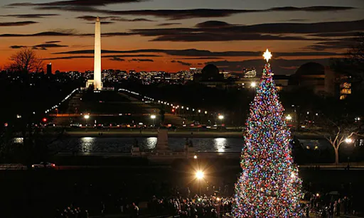 The-U.S.-Capitol-Christmas-Tree.jpg