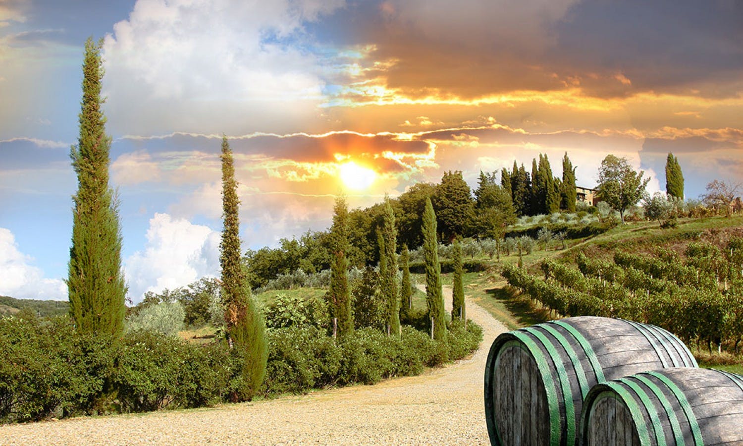 Chianti and castel tour from Siena with wine and food tasting-3