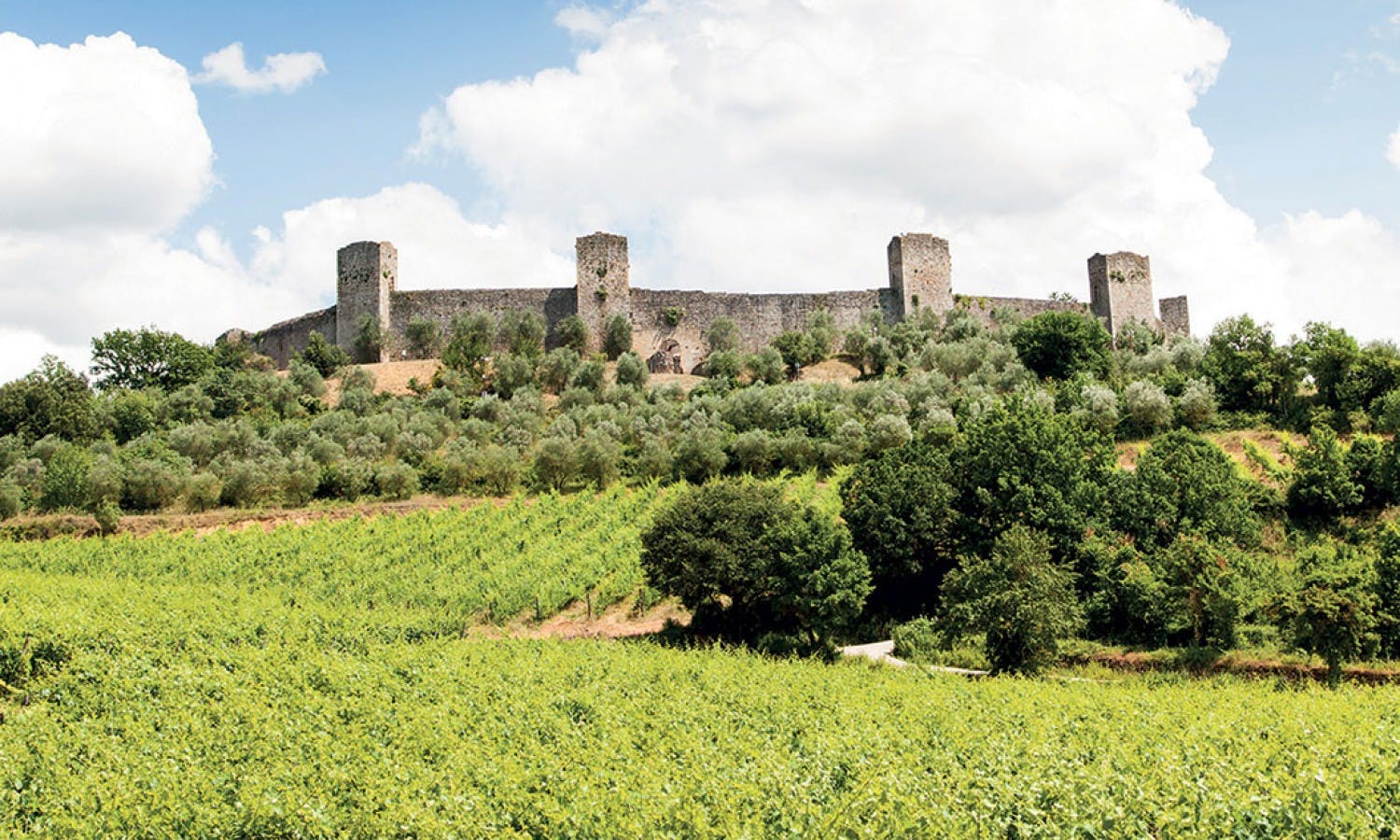 Chianti and castel tour from Siena with wine and food tasting-4