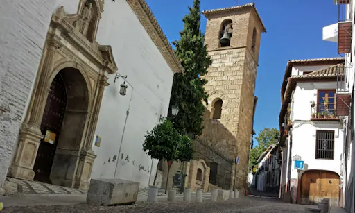 Tapas walking tour in Granada-2