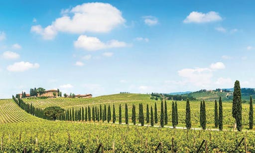 Chianti bike tour from San Gimignano-4