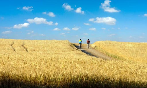 Chianti bike tour from San Gimignano-5