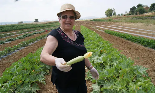 Cooking day in roman countryside 4.jpg