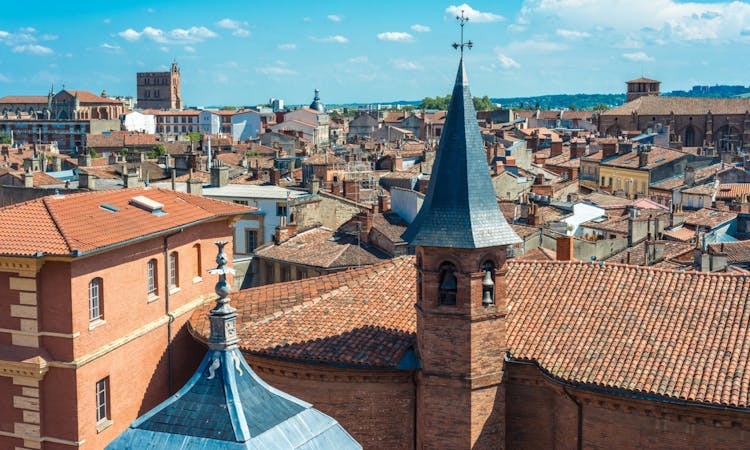 Citytour of Toulouse in panoramic minibus