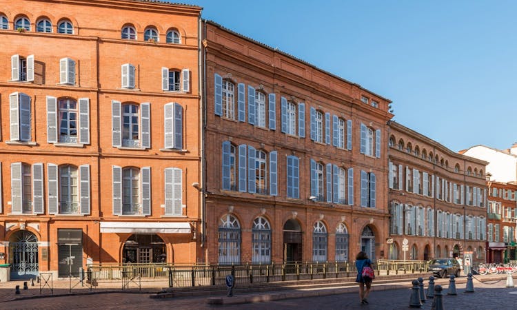 Citytour of Toulouse in panoramic minibus
