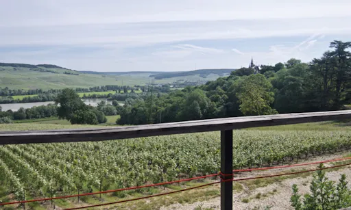 Champagne day trip: visit of private Champagne estate and tastings-2