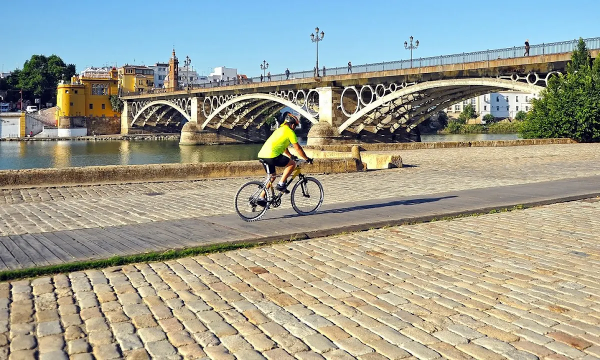 Bike tour Seville 3.jpg