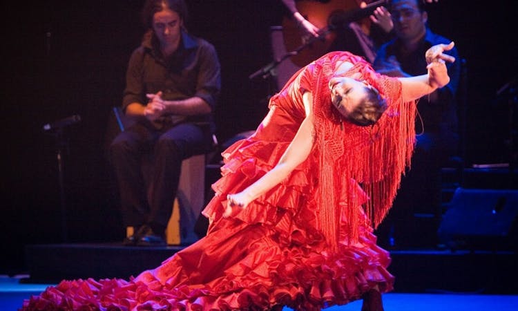 Flamenco show 2.jpg